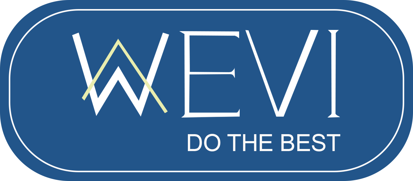 LOGO WEVI